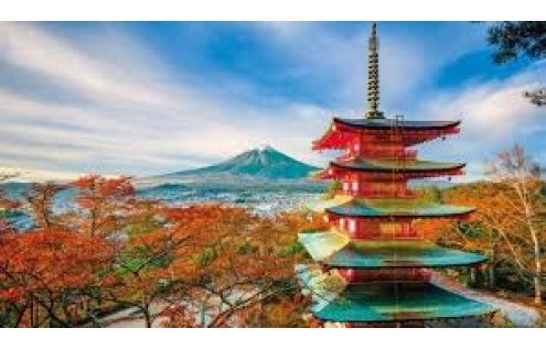 Maravillas de Japón - Hasta Marzo 2019